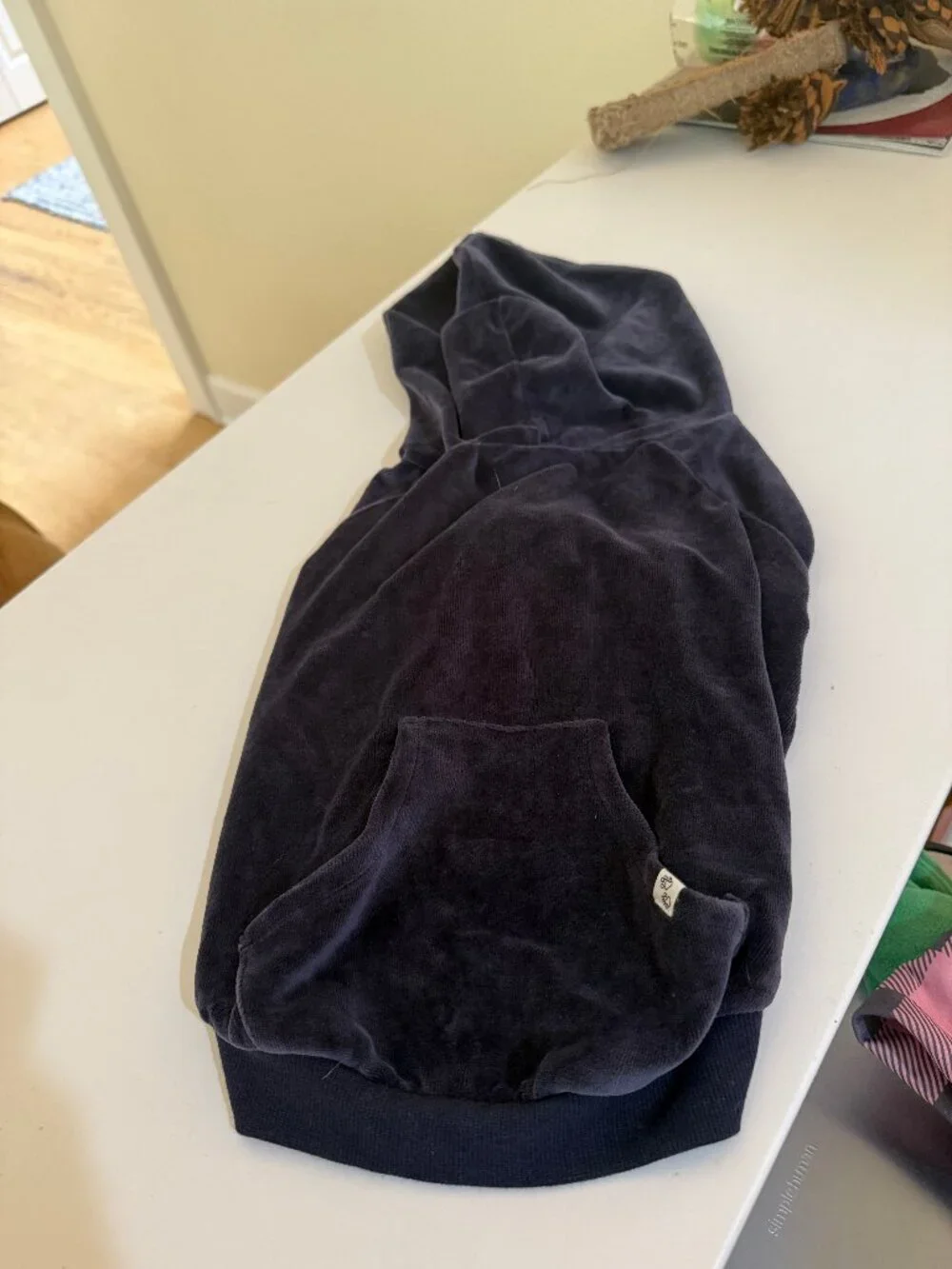 Pet Passion Cooper II Organic Cotton Velour Dog Hoodie Pet Coat for Small Dogs